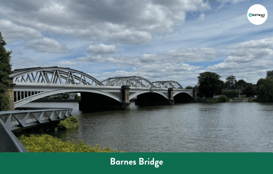 Barnes Bridge near the end of the Boat Race course