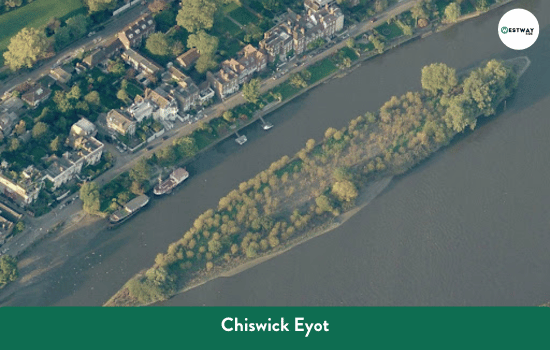 Chiswick Eyot on the Boat Race course