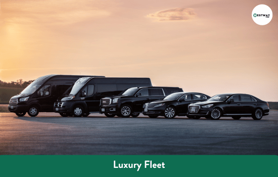 Luxury fleet for garden tours near Heathrow