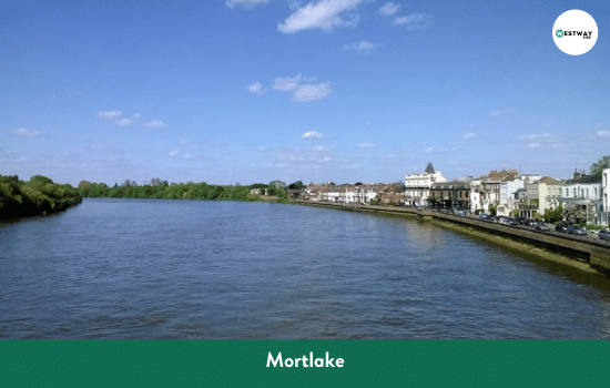 Mortlake at the finish of the Boat Race