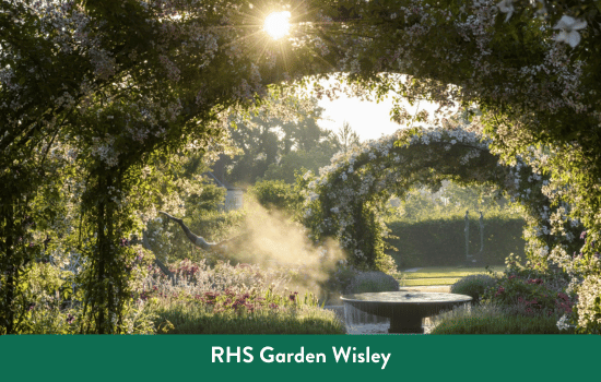 RHS Garden Wisley in Surrey