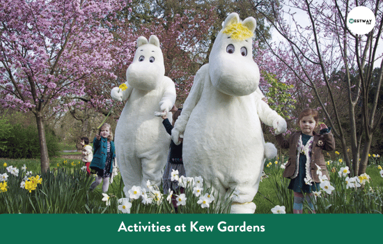Activities at Kew Gardens
