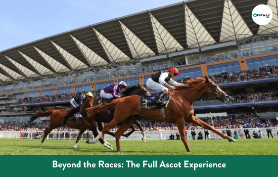 Beyond the Races: The Full Ascot Experience