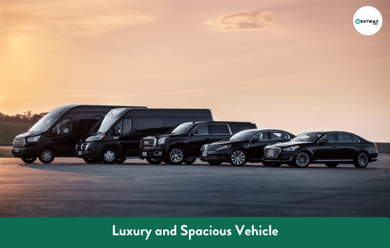 Luxury and Spacious Vehicle