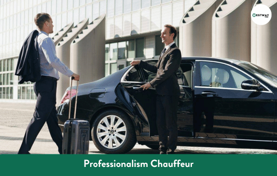 Professionalism Chauffeur