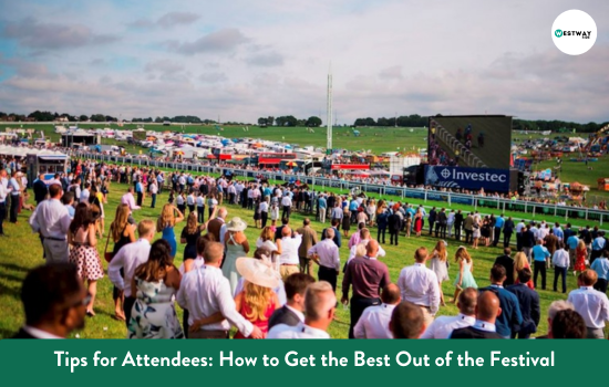 Tips for Attendees How to Get the Best Out of the Festival
