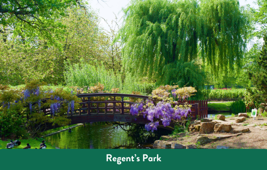 Regent’s Park