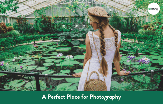 A Perfect Place for Photography