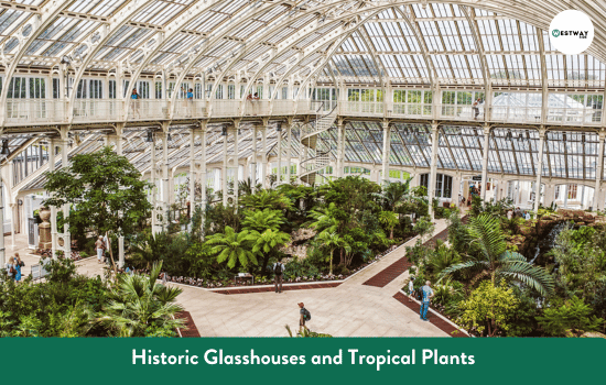 Historic Glasshouses and Tropical Plants