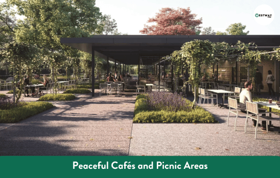 Peaceful Cafés and Picnic Areas