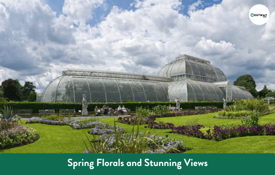 Spring Florals and Stunning Views