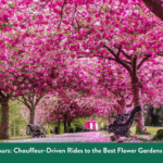 Spring Bloom Tours: Chauffeur-Driven Rides to the Best Flower Gardens Near Heathrow